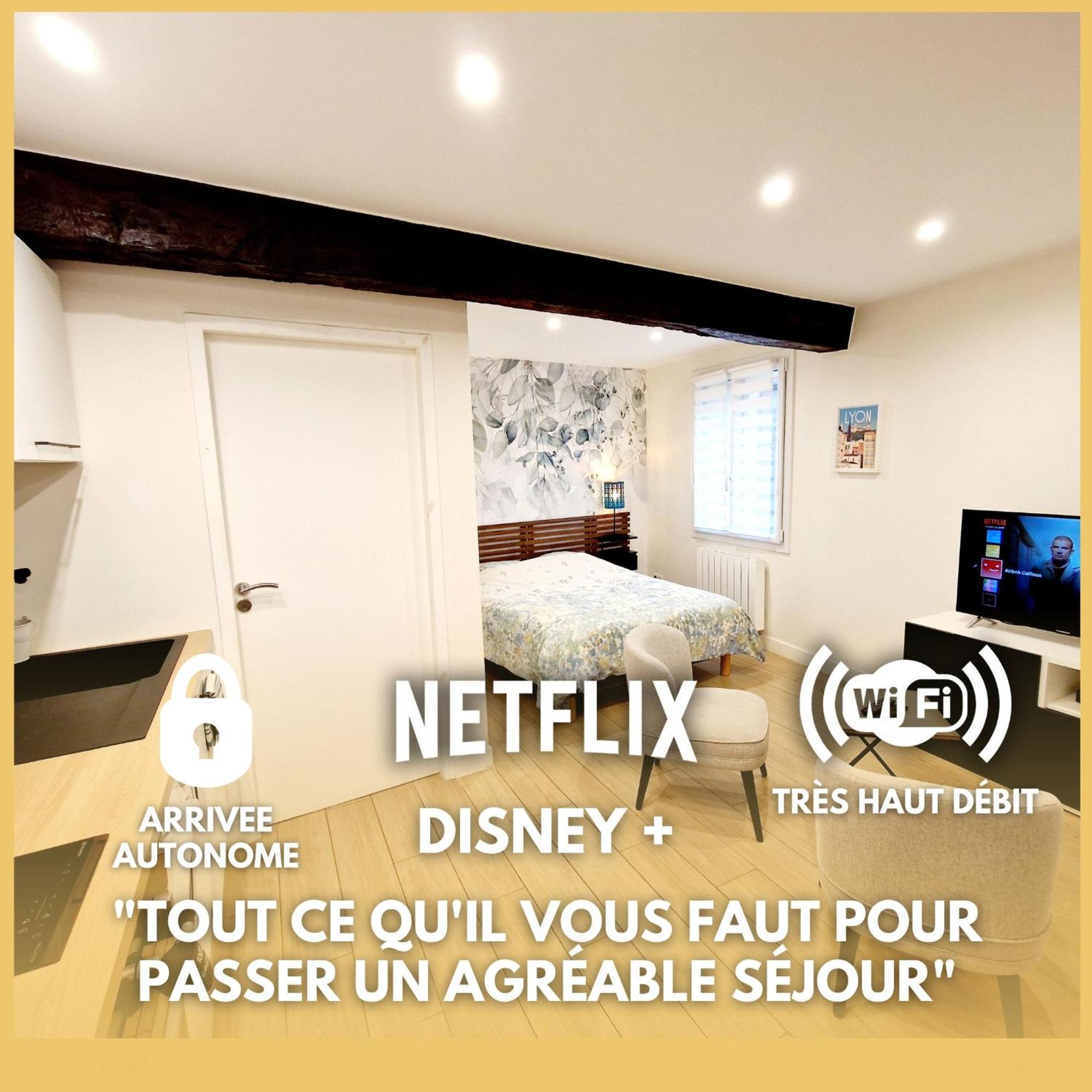 Studio Entierement Equipe Cailloux-sur-Fontaines Extérieur photo